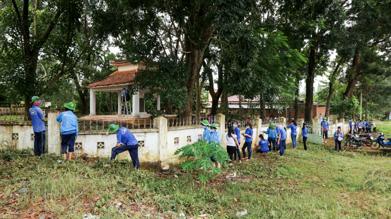 cá cược thể thao hul city